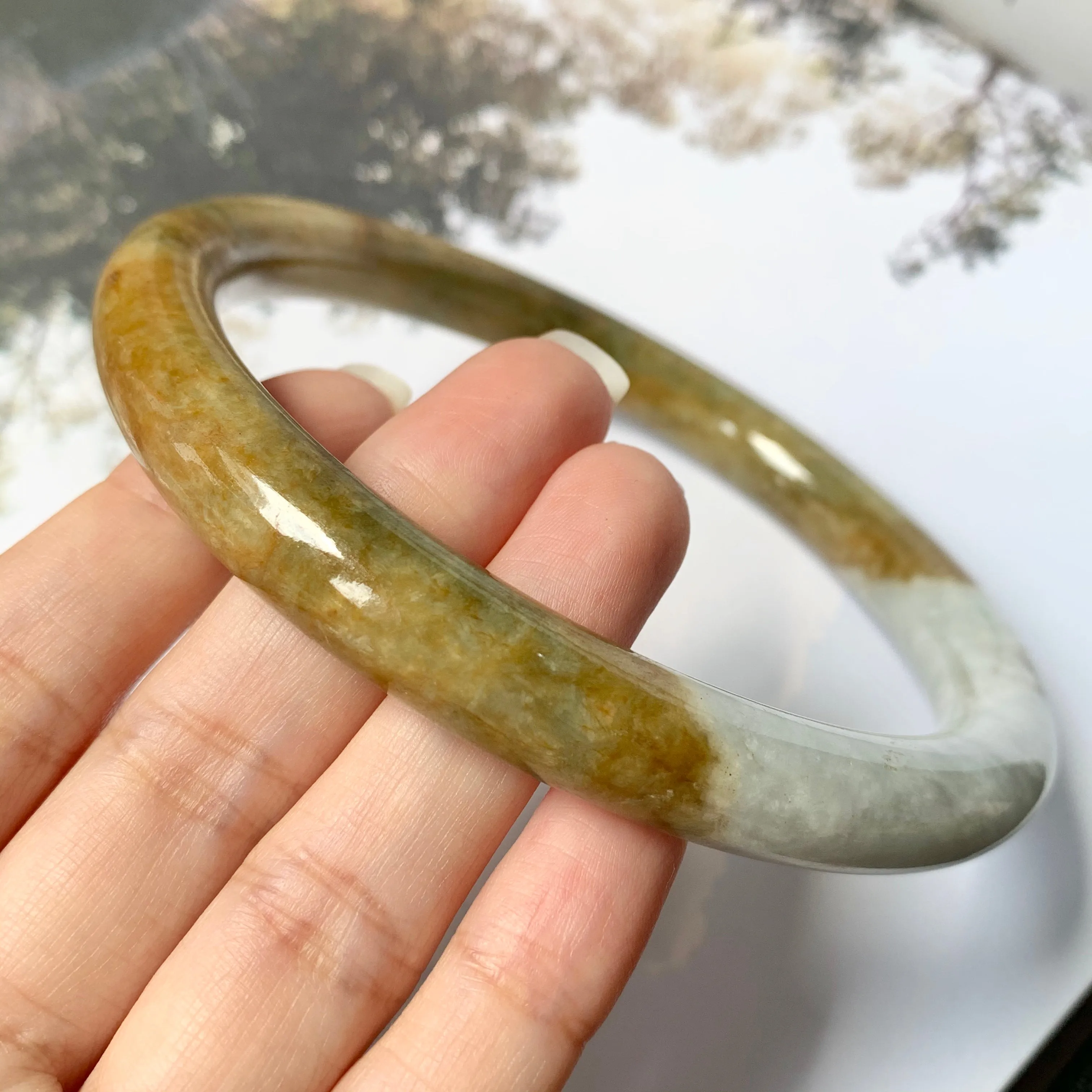 83.8mm A-Grade Natural White Yellow Jadeite Traditional Round Bangle No.151763