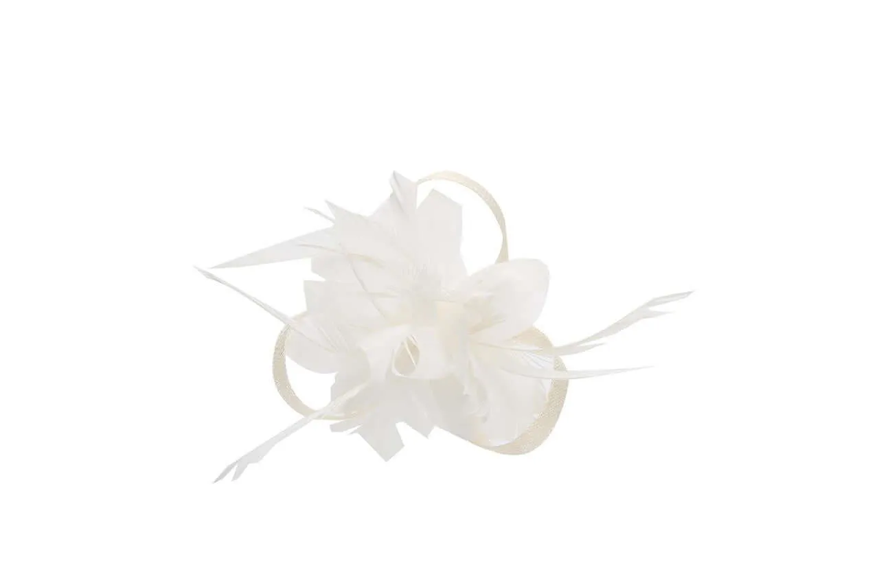 Charlotte Fascinator Clip (18 colours)