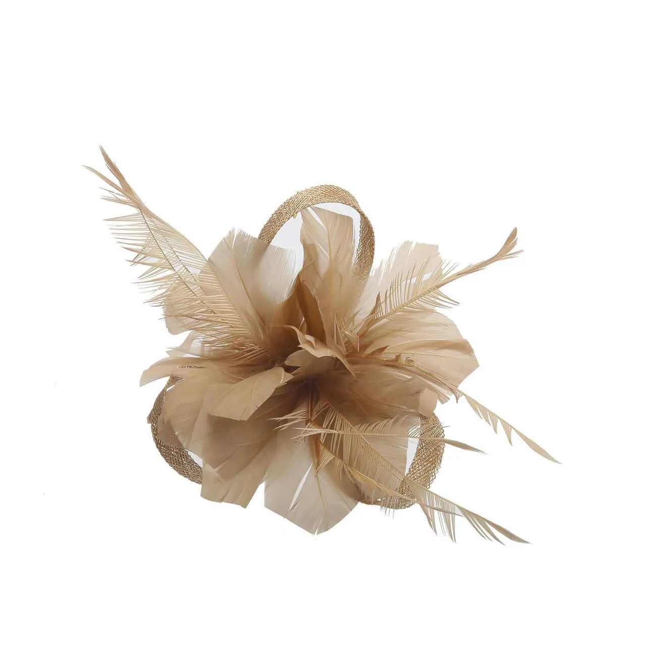 Charlotte Fascinator Clip (18 colours)